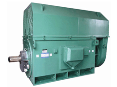 1800KWY系列6KV高压电机
